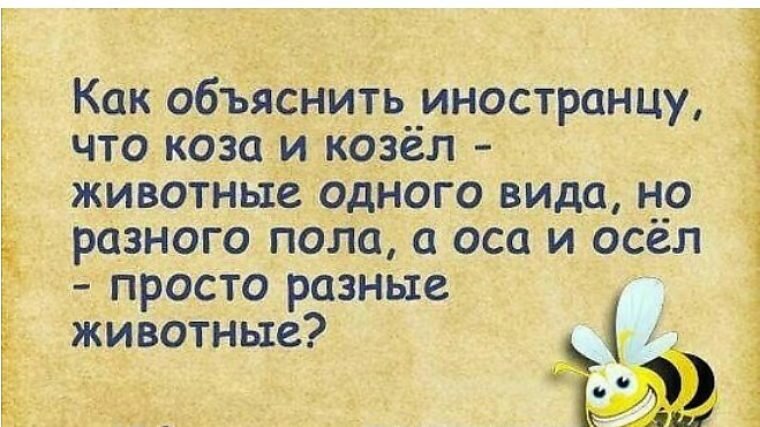 Как объяснить иностранцу что одна бутылка водки много. Как объяснить иностранцу. Русские фразы непонятные иностранцам. Анекдоты про русского и иностранцев смешные. Тонкости языка.