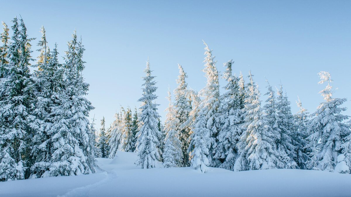 Фото: freepik.com/standret