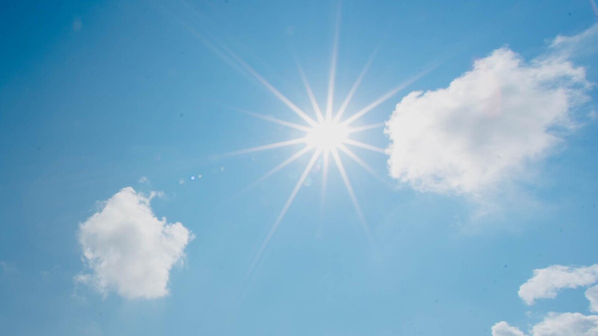 Фото: unsplash.com