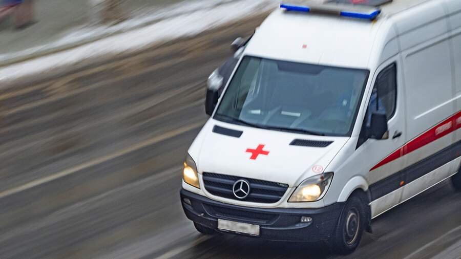 Фото: ИЗВЕСТИЯ/Константин Кокошкин