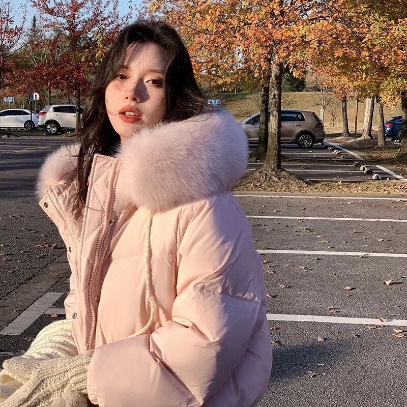 Вы можете получить его здесь