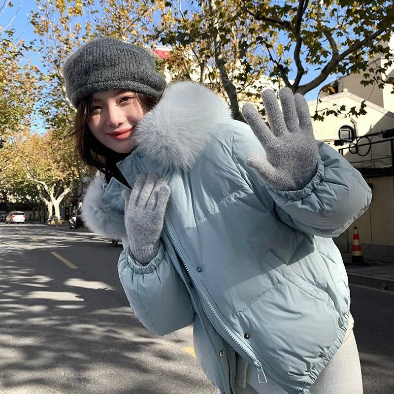 Вы можете получить его здесь