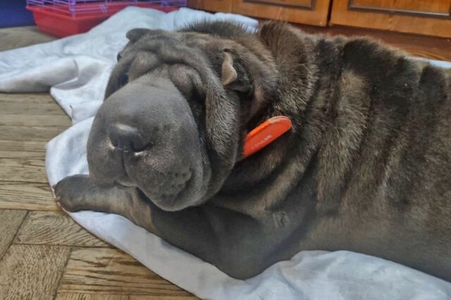    Фото: Из личного архивa