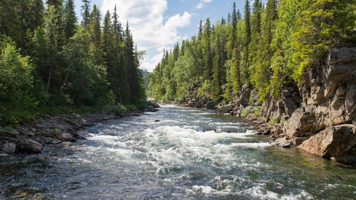 Реализация Комплексного плана по развитию водного хозяйства оценивается в 2  трлн тенге | Bizmedia.kz | Дзен