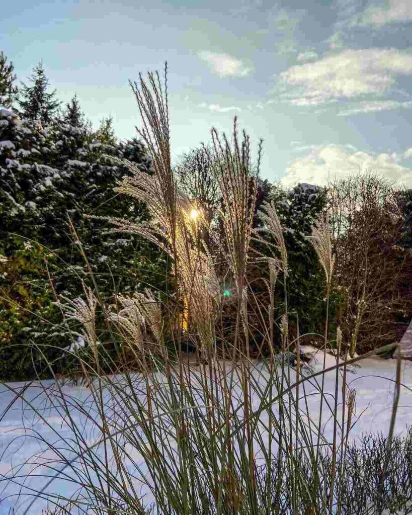    Фото: Эдуард Лесовской