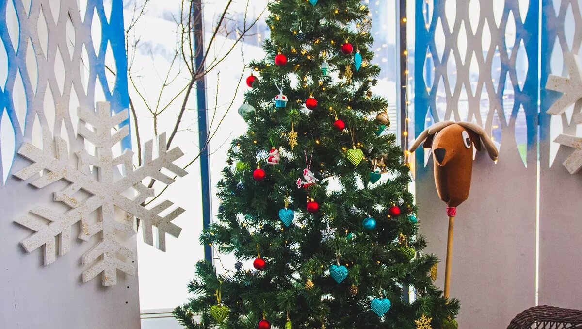     Впереди всего одни выходные, чтобы успеть подготовиться к Новому году. А одним из актуальных вопросов остается выбор главного украшения — елки. Эксперты Роспотребнадзора рассказали, как правильно ее выбирать и как избежать неприятных сюрпризов.