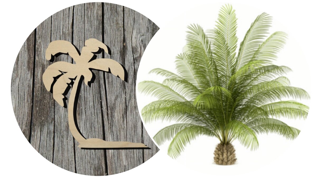 пальмовое дерево