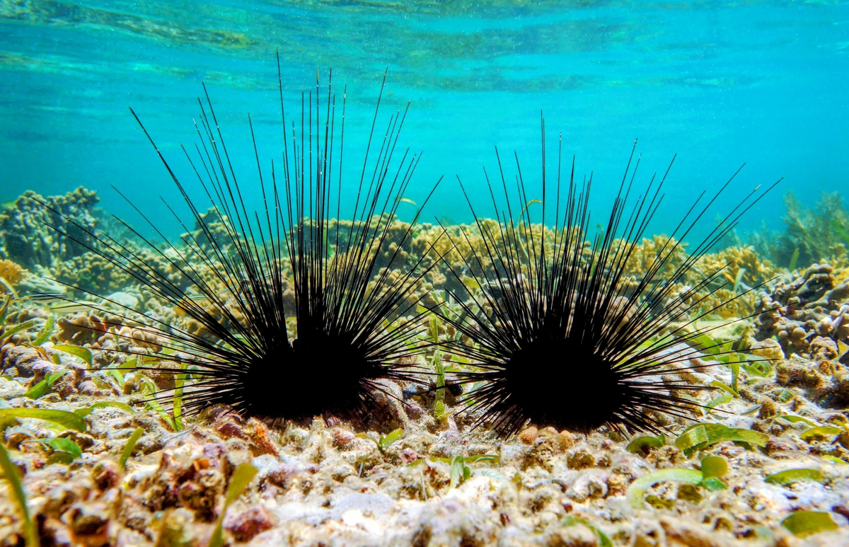 Если бы у слова «отошёл» было бы материальное воплощение.