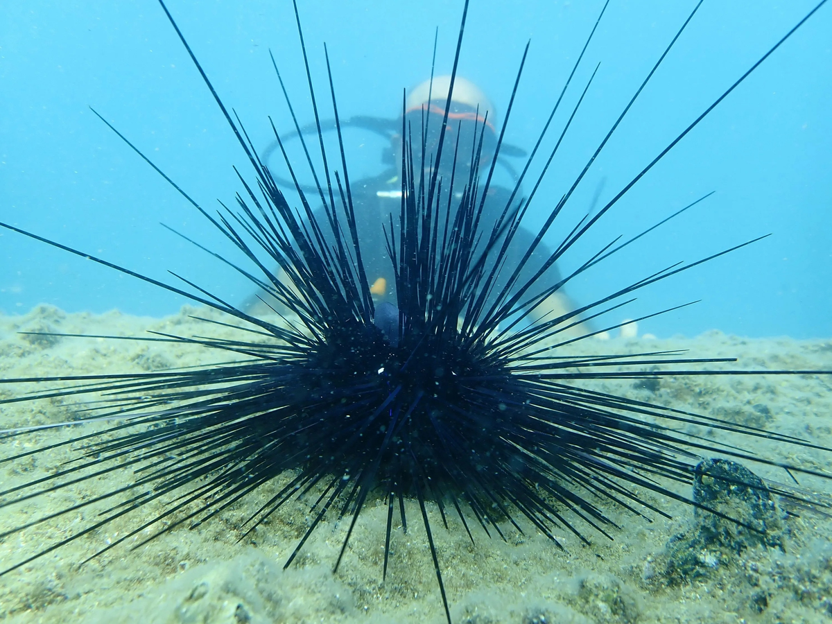 *когда пришёл просить повышение зарплаты у начальника*