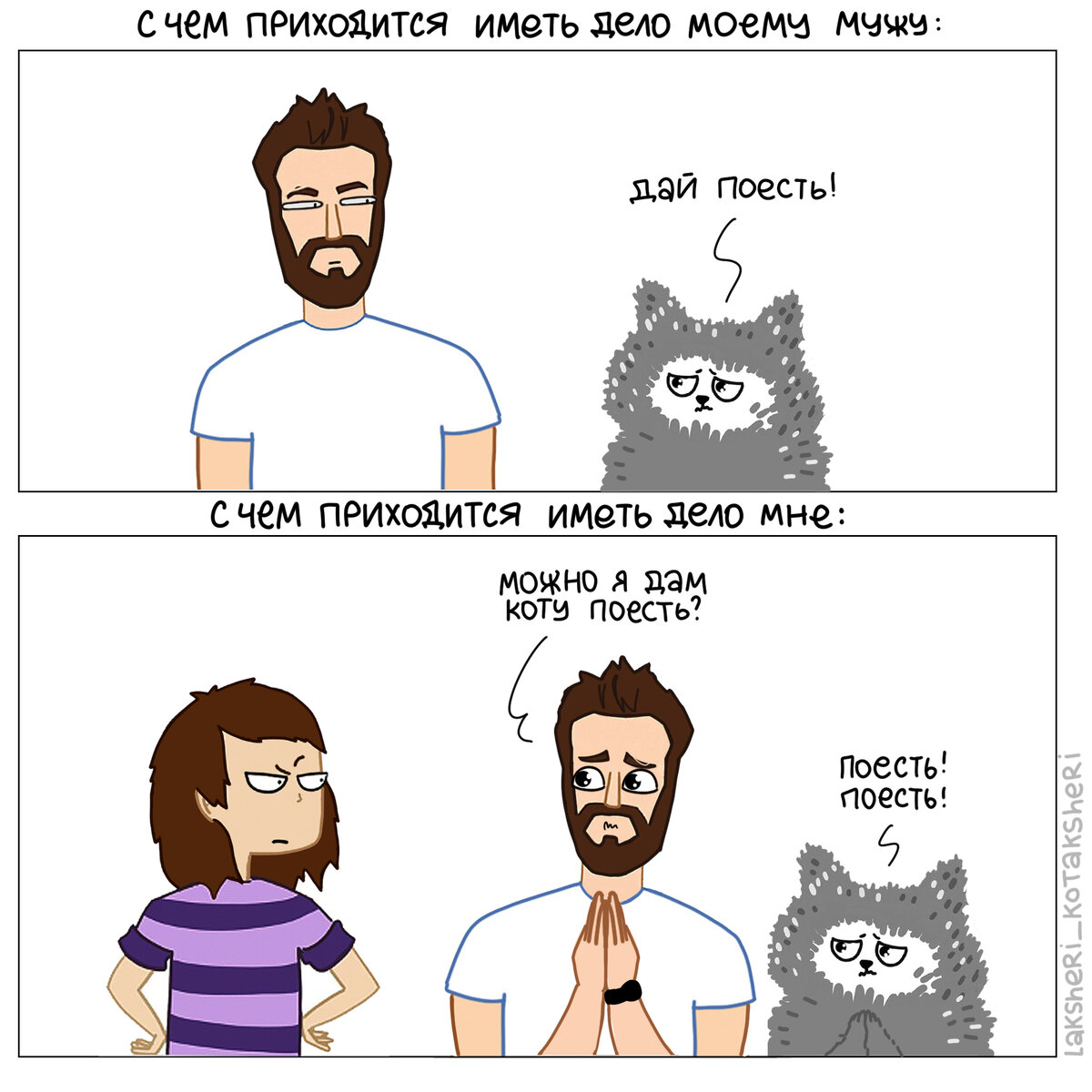 Кот знает что он кот. Кот знает что он кот