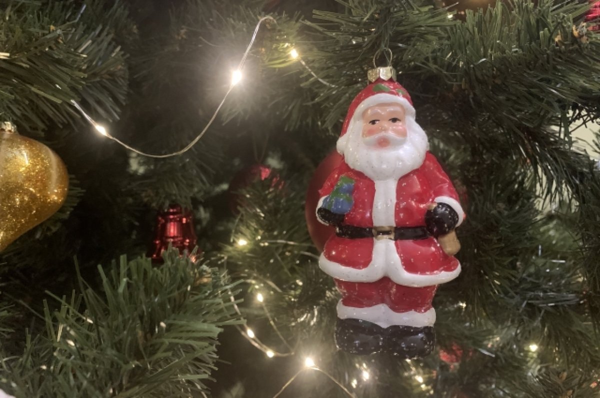    В «Олимпийской ребячке» под Тюменью отменили все новогодние программы