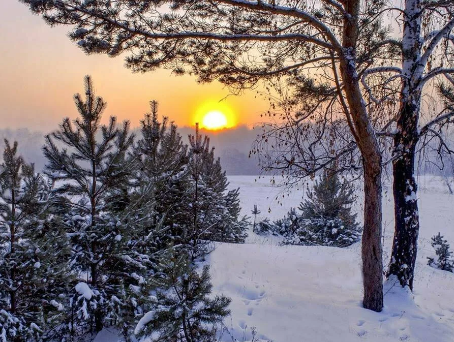 Ежегодно в декабре. Зимнее солнцестояние. Зимний Солнцеворот. 22 Декабря день зимнего солнцестояния. Зимнее солнцестояние фото.