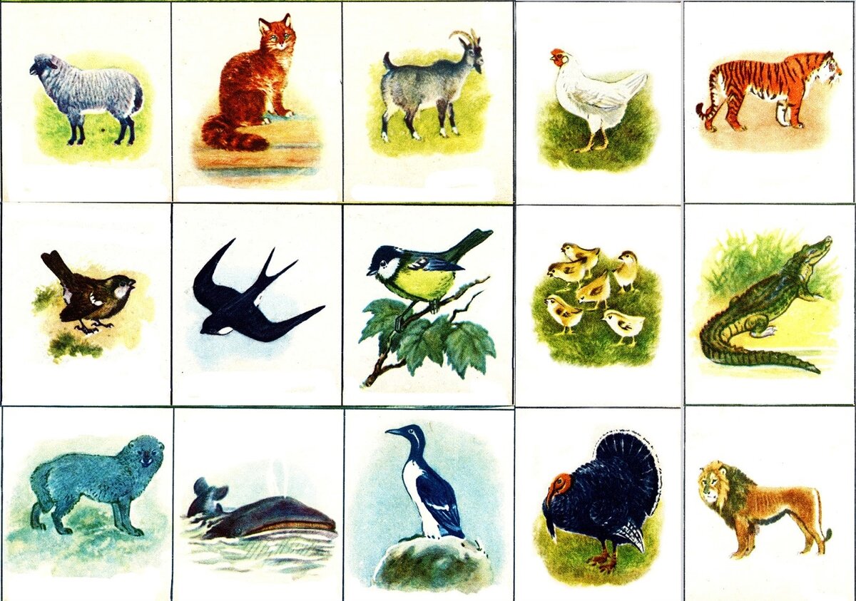 лото для детей. игра лото животное. лото животные настольная игра. лото животные на английском. детское лото.