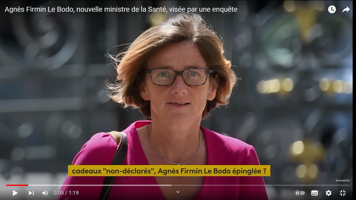 Анье Фирмин Ле Бодо. Скриншот с канала FranceInfo в YouTube.