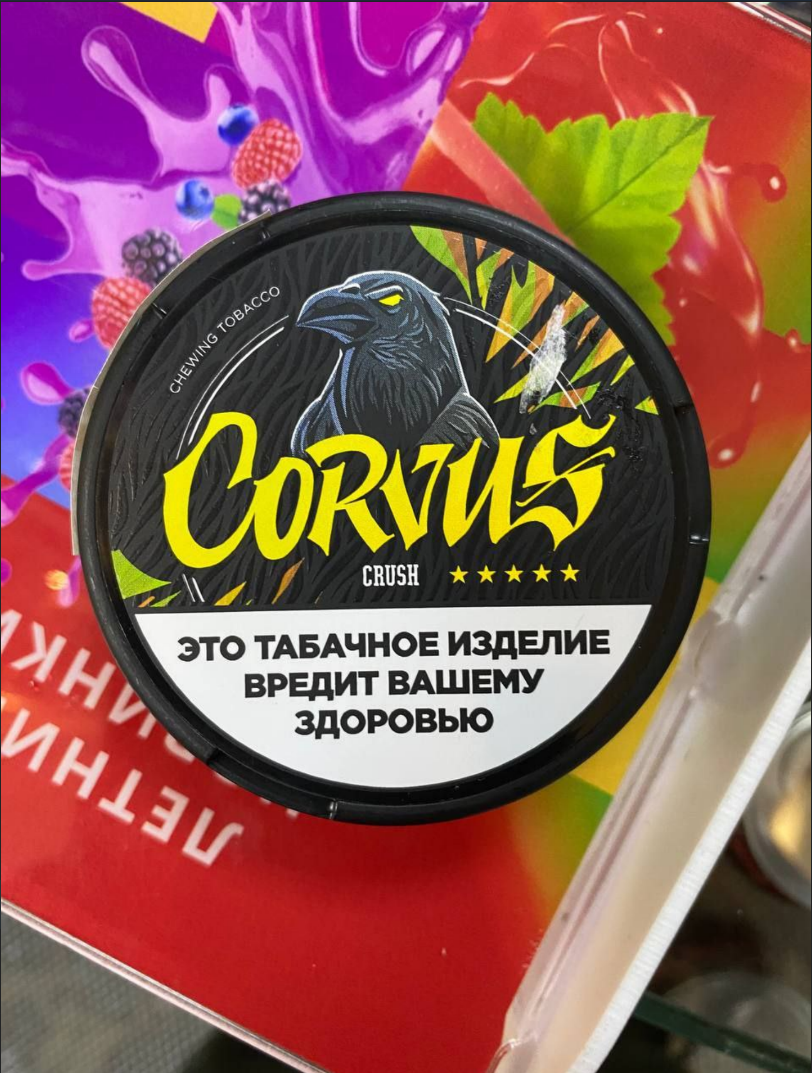 CORVUS CRUSH / KASTA 666 Грейпфрут - обзор-сравнение снюса Корвус и Каста  2023! | SHIZA SHOP - обзоры и отзывы на жевательный табак (снюс)! | Дзен