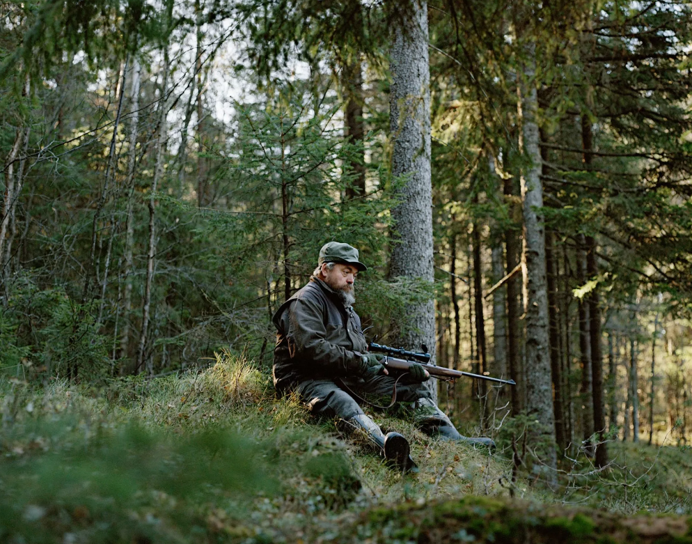 Яндекс картинки