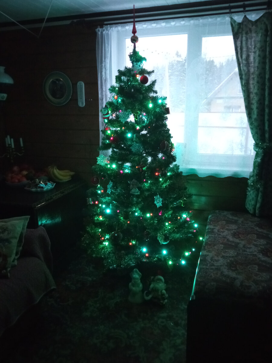 Наша ёлка 🎄. Фото автора 