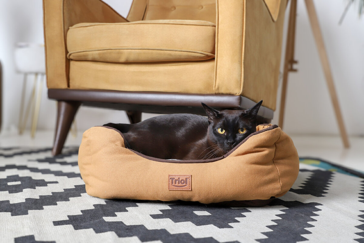 На фото — лежанка «Осенняя классика», Triol.