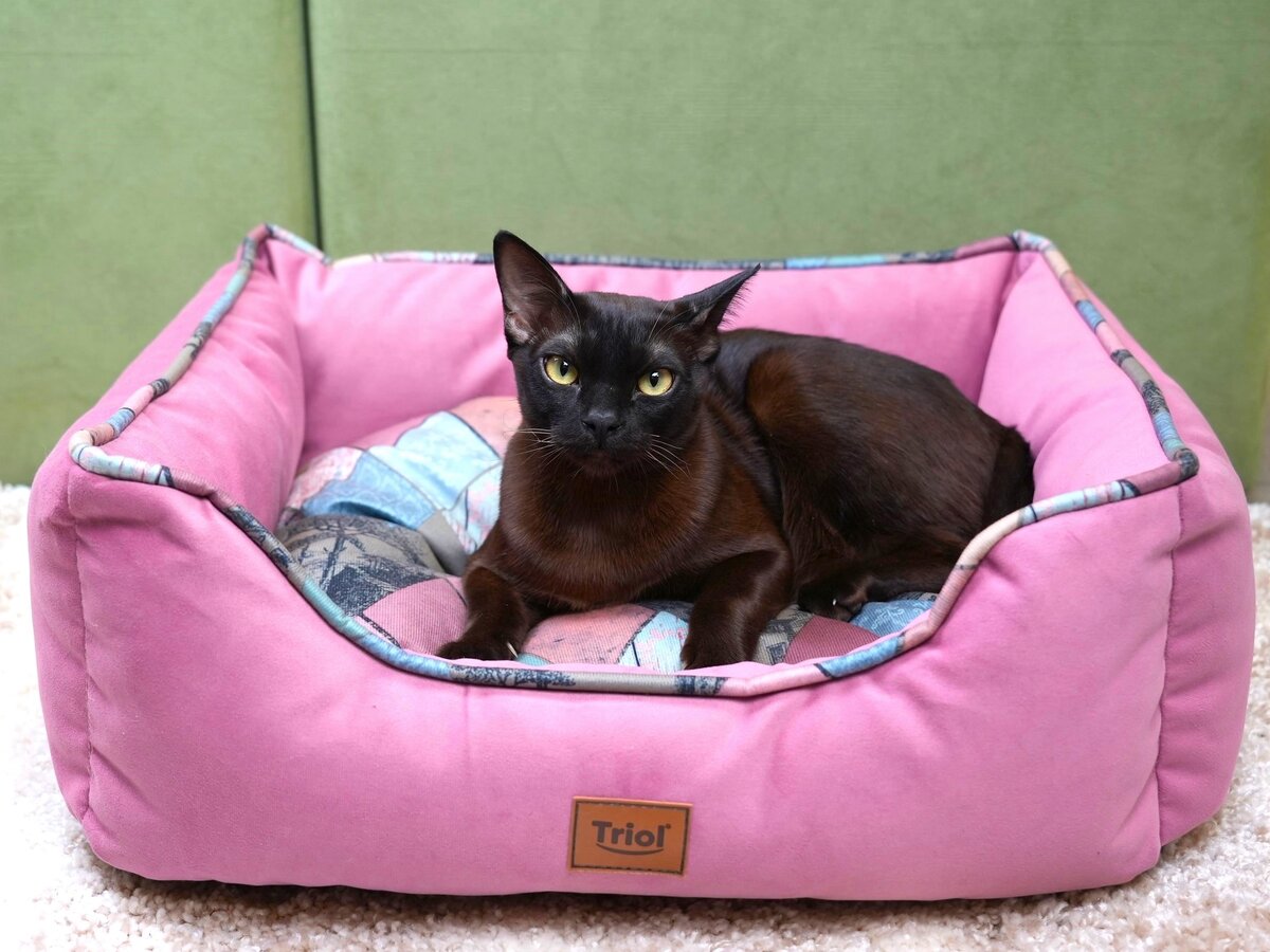 На фото — лежанка «Муза», Triol.