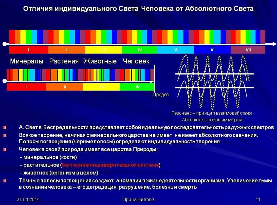 сайт ниловой держава света. держава света новости перехода. держава света новости. сайт ниловой держава света. держава света нилова.