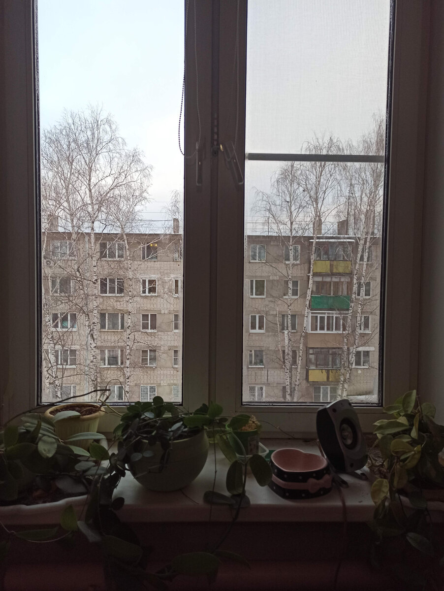 Кошачья миска для воды кто бы про нее во время вспоминал и наливал.