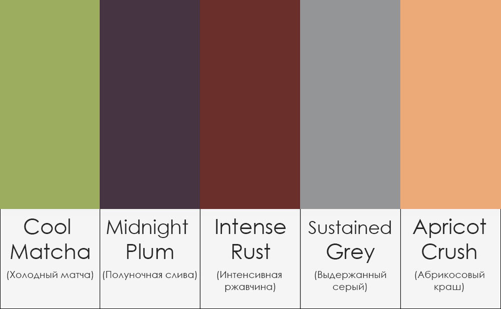 Фото: ortograf.ru