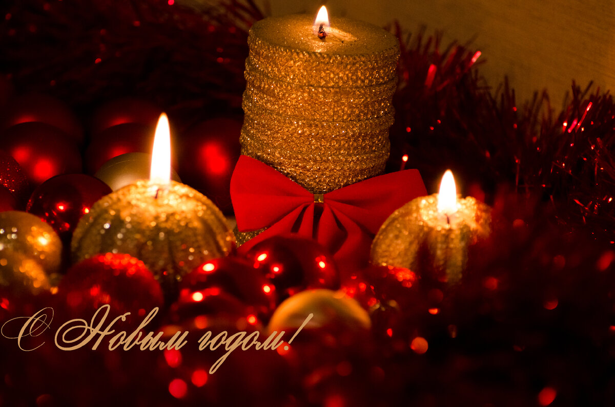 Фото автора статьи