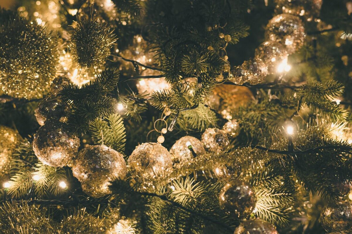 Shutterstock📷Для того чтобы елка на участке выглядела красиво и нарядно, нужны большие игрушки – их будет хорошо видно отовсюду