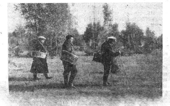 Грибники... "Московский автозаводец", 20 октября 1966 г. Сканировано автором ИстАрх.