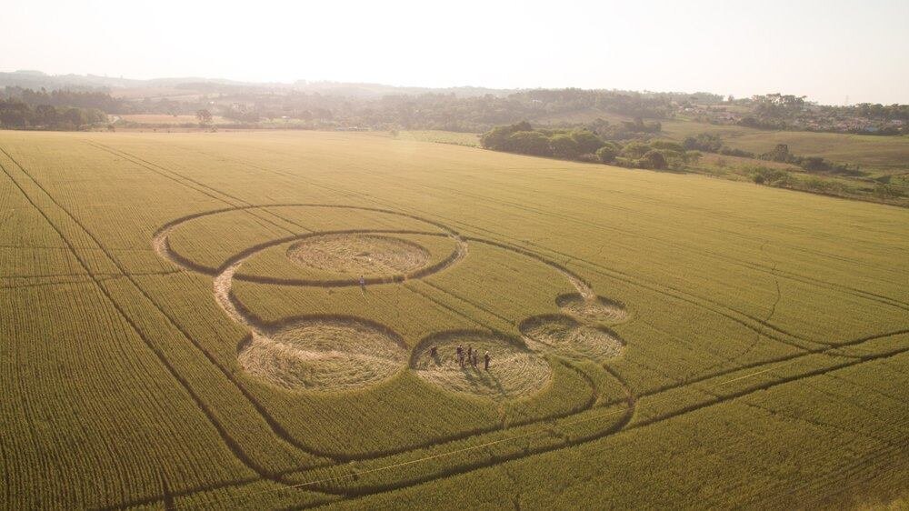круги на полях. знаки на полях англии. штат небраска круги на полях. дуглас бауэр круги на полях. дуглас бауэр круги на полях.