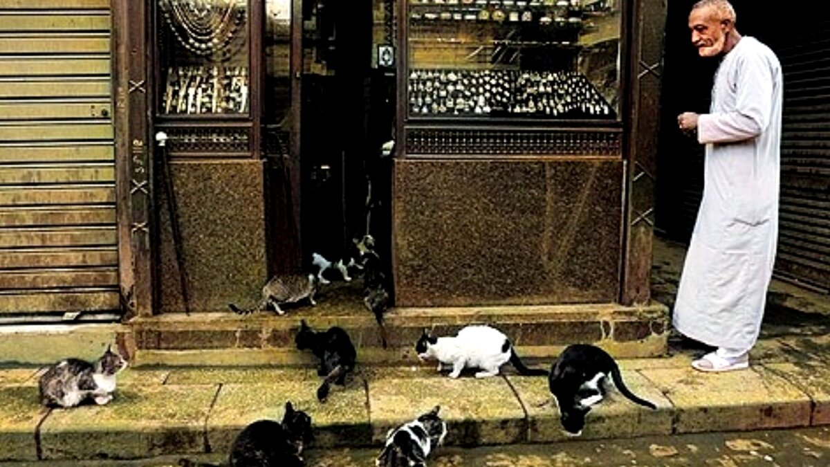 Эмоциональная связь