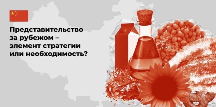    Искусство агроторговли с Китаем: важные аспекты для успешного бизнеса