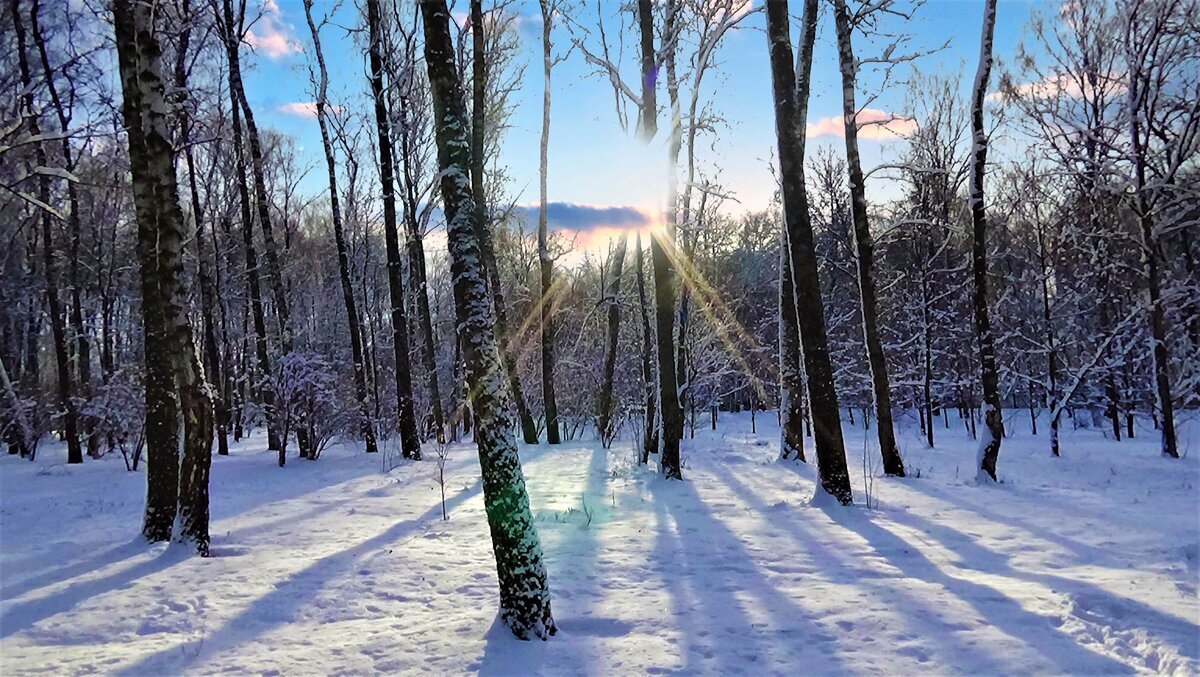 Автор фото Ольга Блинова.Домашние видеоклипы. 