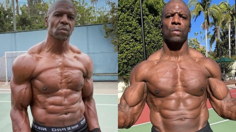 Терри Крюс (Фото: Instagram @terrycrews)