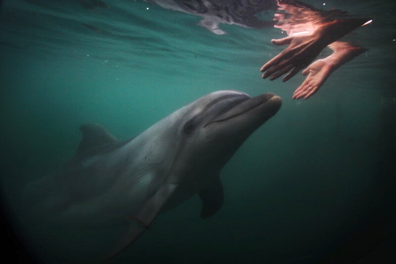 Автор фото Добрый Человек©