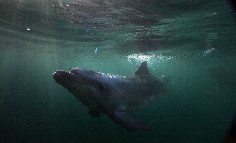 Автор фото Добрый Человек©