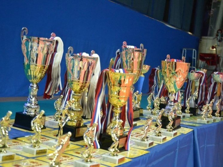     фото пресс-службы администрации г.о. Серпухов