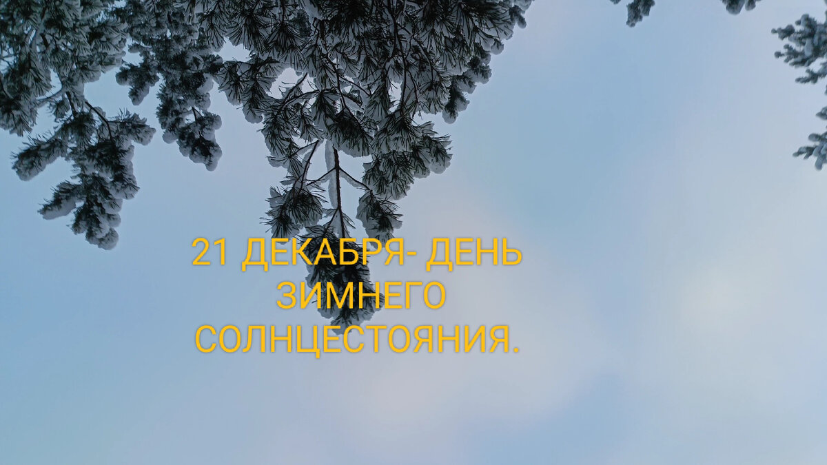 Фото автора статьи. 