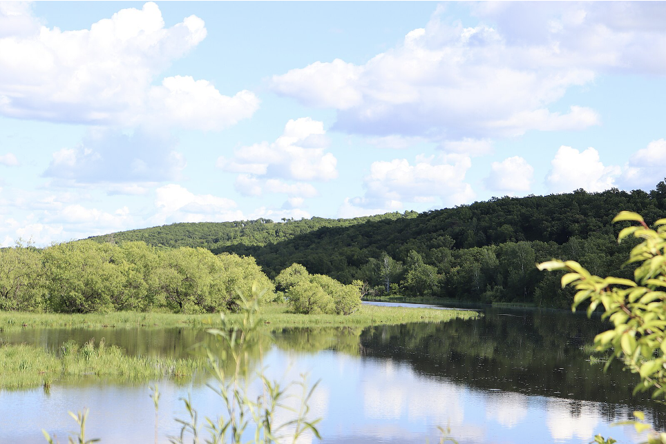 Природа в окрестностях Свободного Paul Yarovoy, CC BY-SA 4.0 <https://creativecommons.org/licenses/by-sa/4.0>, via Wikimedia Commons