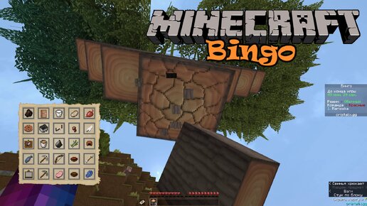 Сервера бинго. Бинго похудение. Покажи блуи бинго. Бинго майнкрафт сервера. Терф бинго.