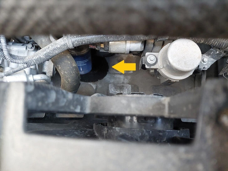     Фото от читателя 74.ru