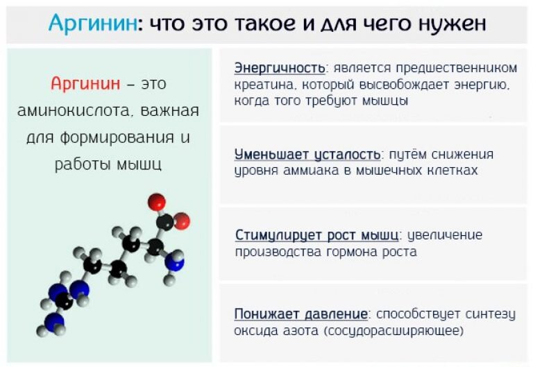 Л аргинин для чего. Аргинин функции в организме. Аргинин аминокислота функция в организме. Роль аргинина в организме. Функция аргинина в организме человека.