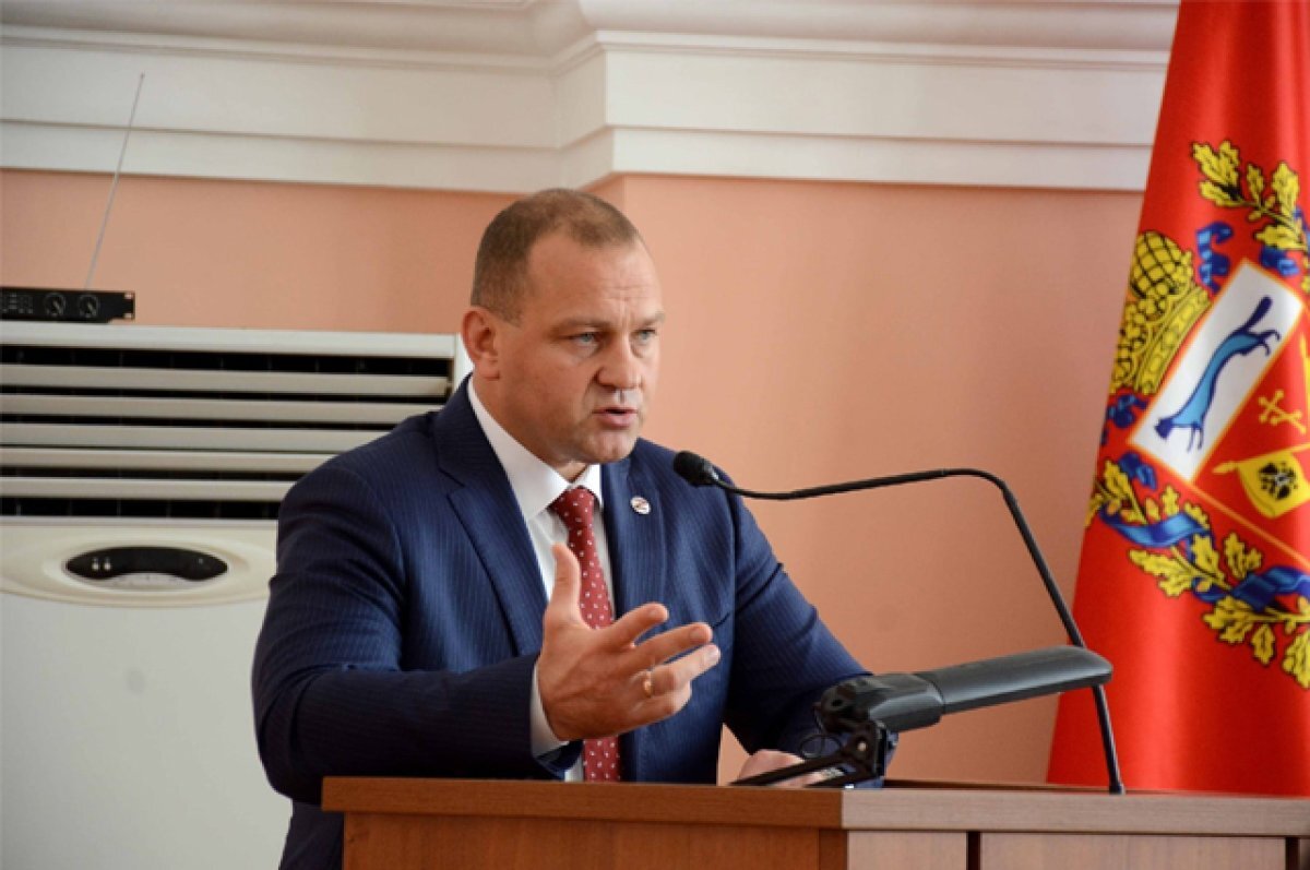    Глава Оренбурга выразил сомнение в эффективности приюта для бродячих собак