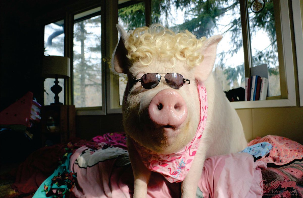 - не только умные, но и красивые!