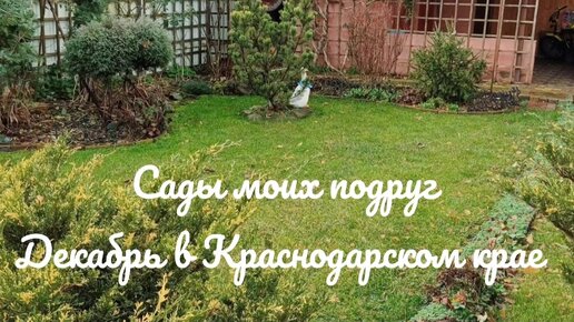 Сады моих подруг/Сад Натальи из Краснодарского края в декабре