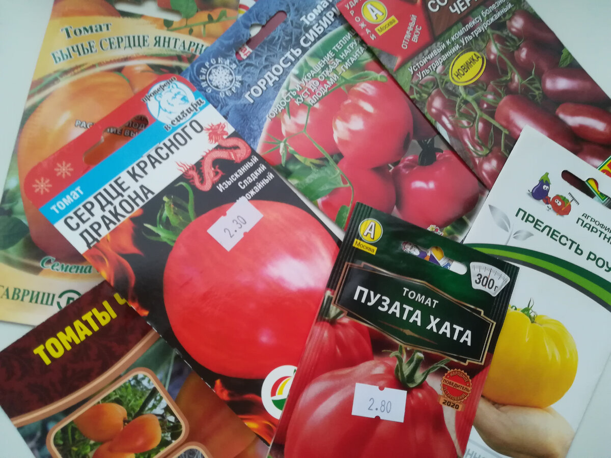 Наши новинки к новому сезону