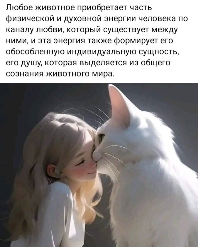 Это страничка из группы в Фейсбуке. Её ведёт одна из тех, с кем я познакомилась на Осинке. На Дзене её канал называется «Души животных». 