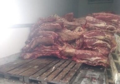    В Оренбуржье на границе пресекли попытки незаконной перевозки мяса Кристина Просвиркина