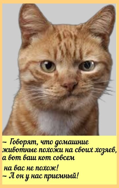 ��� ����� � ������ �������� ������� �� ��������, ����������� ���� ���������������, � ������: � �� � ���? ���, � ��� ���������, �����? �� ��� �� ������, �? ��� ��������, �����������, ��������� ����?-3