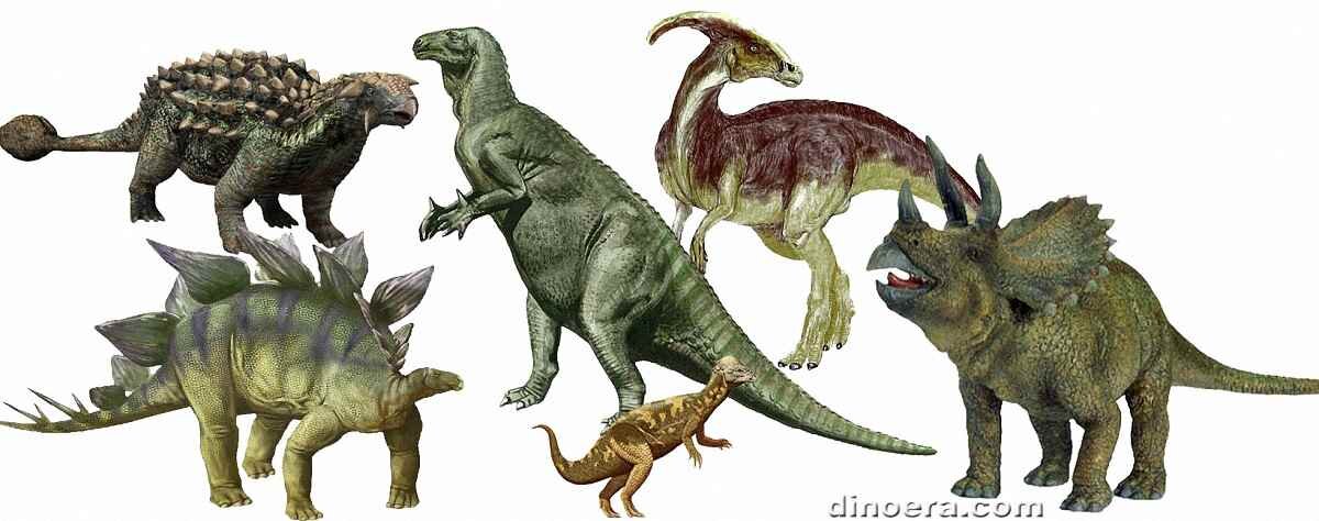 Птицетазовые. Птицетазовые и Ящеротазовые динозавры. Птицетазовые динозавры представители. Ящеротазовые динозавры. Рептилии птицетазовых динозавров.